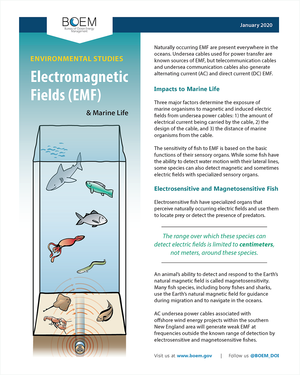 Electromagnetic Fields (EMF) Marine Life