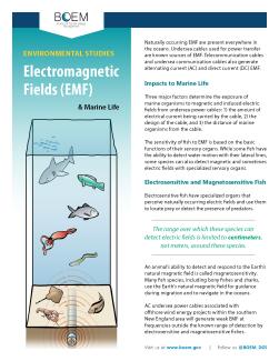 Electromagnetic Fields and Marine Life