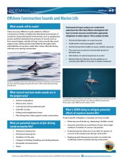 Offshore Construction Sounds and Marine Life