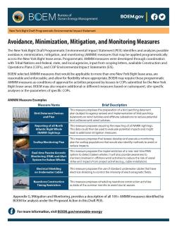 Avoidance Minimization Mitigation and Monitoring Measures