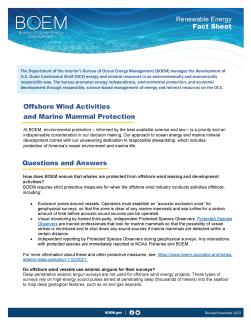 Offshore Wind Activities and Marine Mammal Protection_Page_1