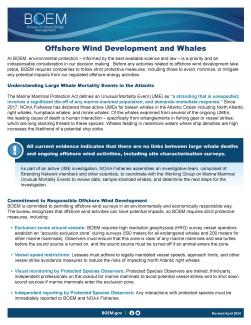Offshore Wind Development and Whales