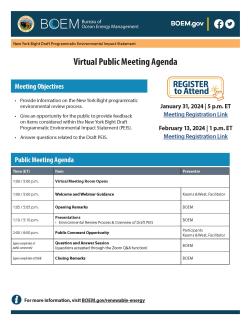 Virtual Meeting Agenda poster