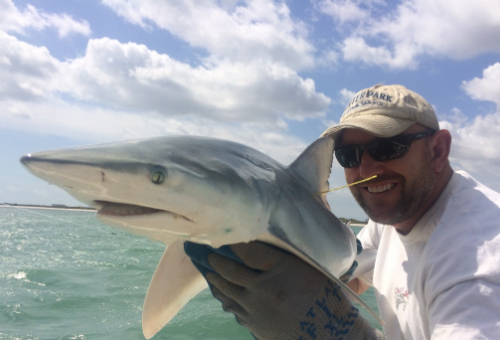 Tagging a juvenile shark offshore Canaveral Shoals FL