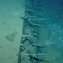 Shipwreck-15377-Drift-Pins