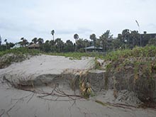 Coastal habitat erosion in Brevard County, Fla., Oct. 27, 2012.  Photo courtesy of Brevard County Natural Resources Management Department.