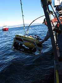 Retrieving ROV during fish surveys at CA offshore platforms