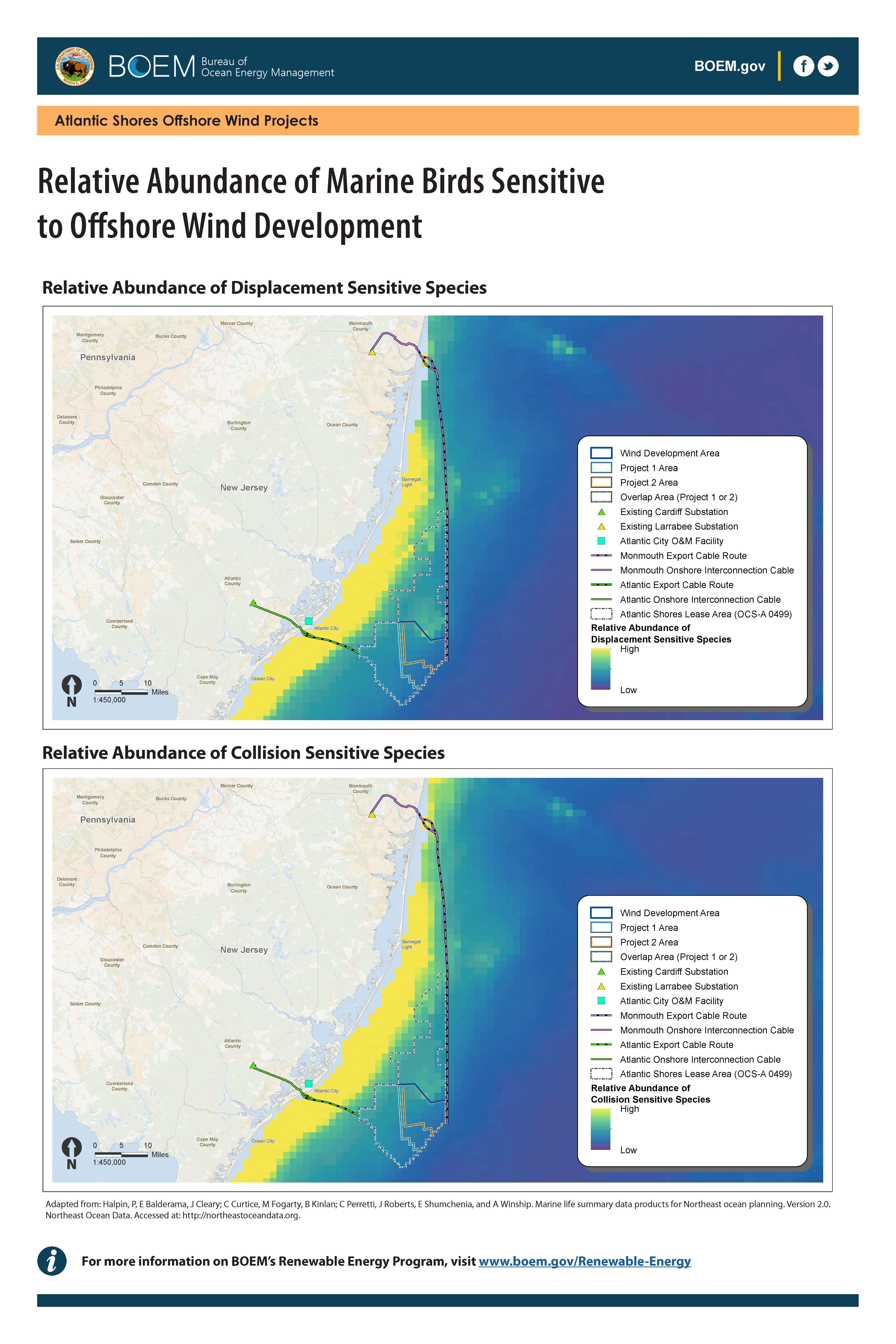 Atlantic Shores Avian Sensitivity