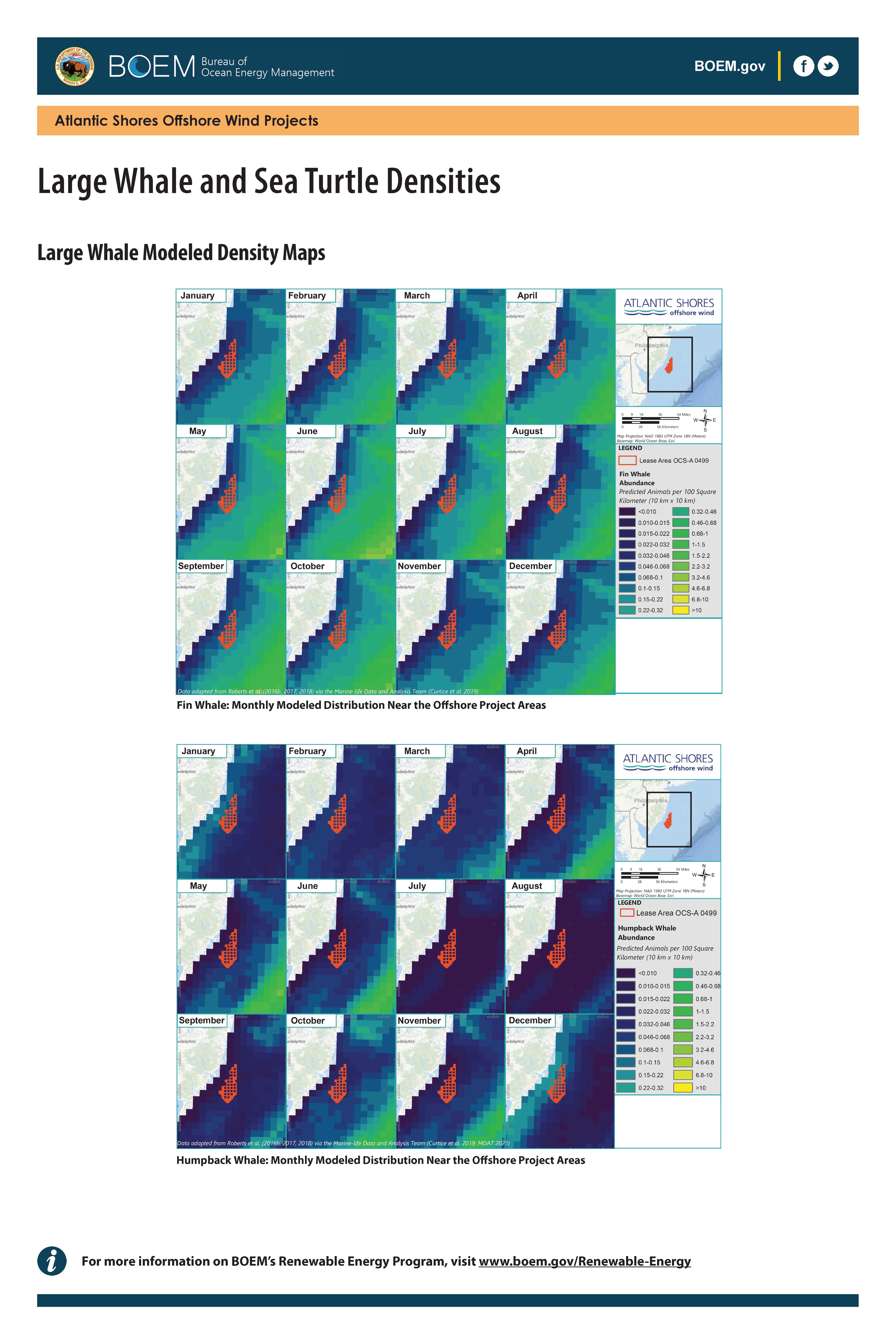 Atlantic Shores Whale and Turtle Densities