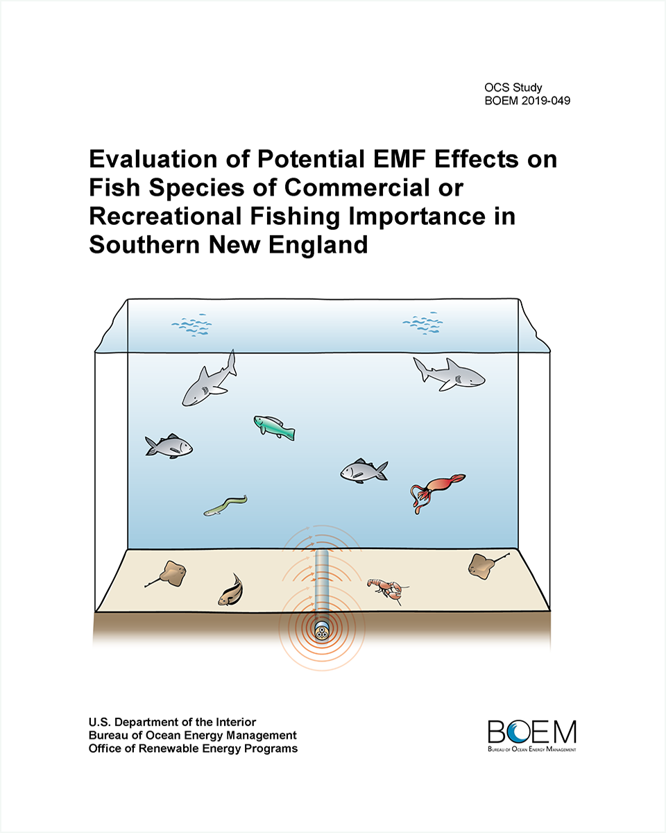 EMF White Paper