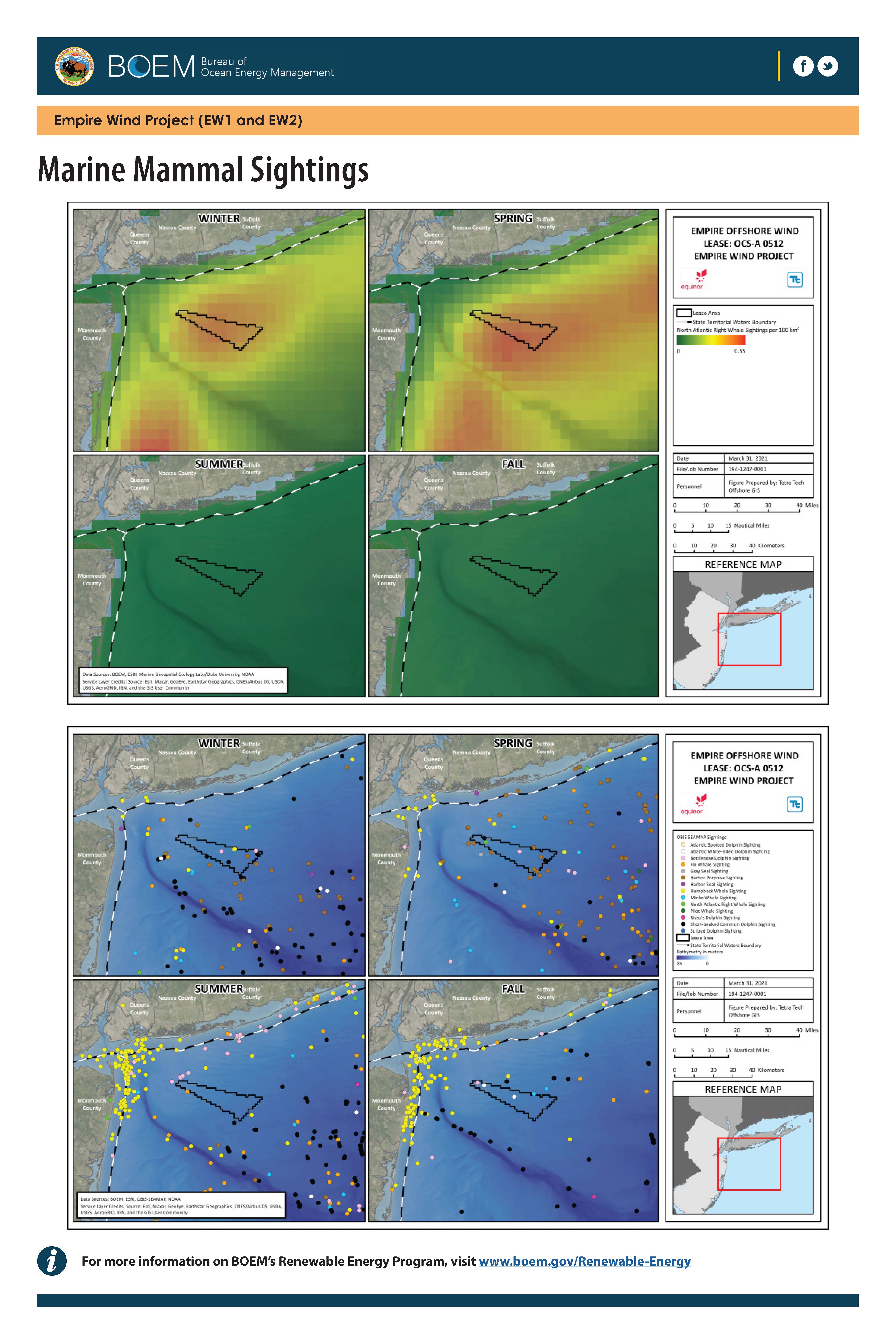 Marine Mammal Sightings