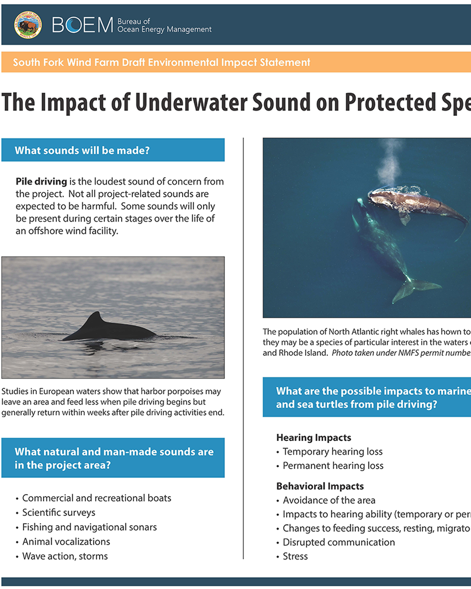 Impact of Underwater Sound on Protected Species