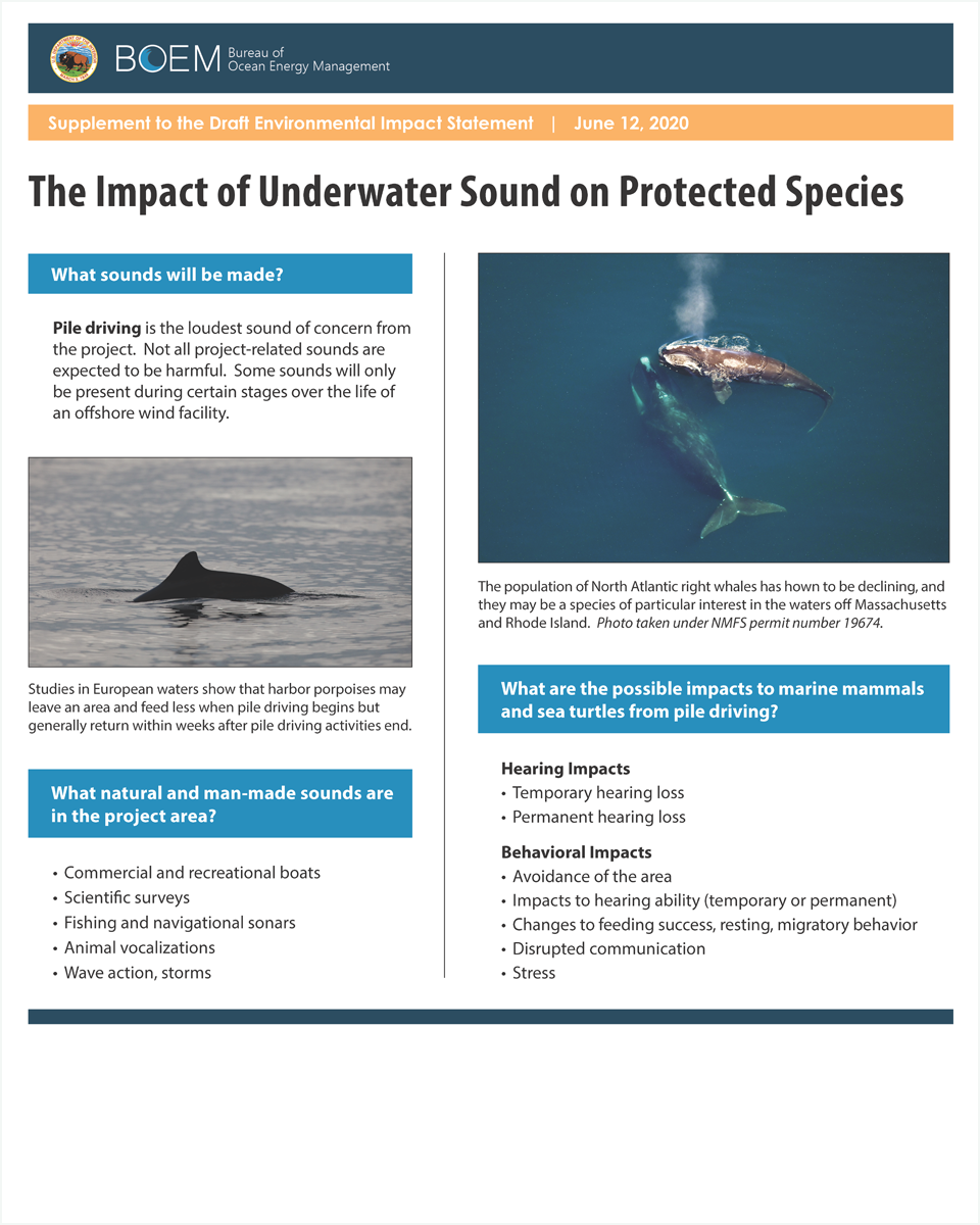 Impact of Sound on Species Poster