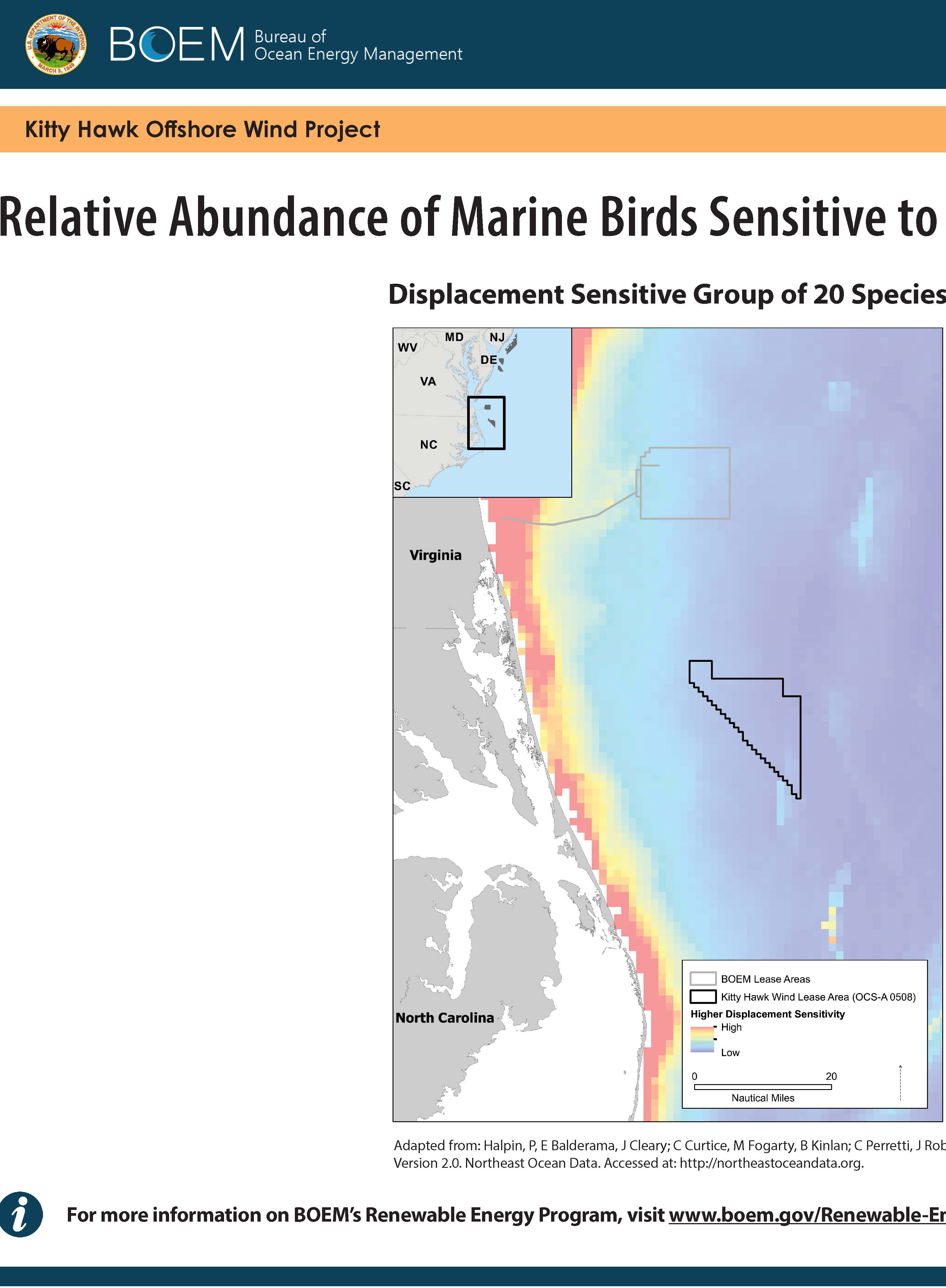 Kitty Hawk Avian Sensitivity