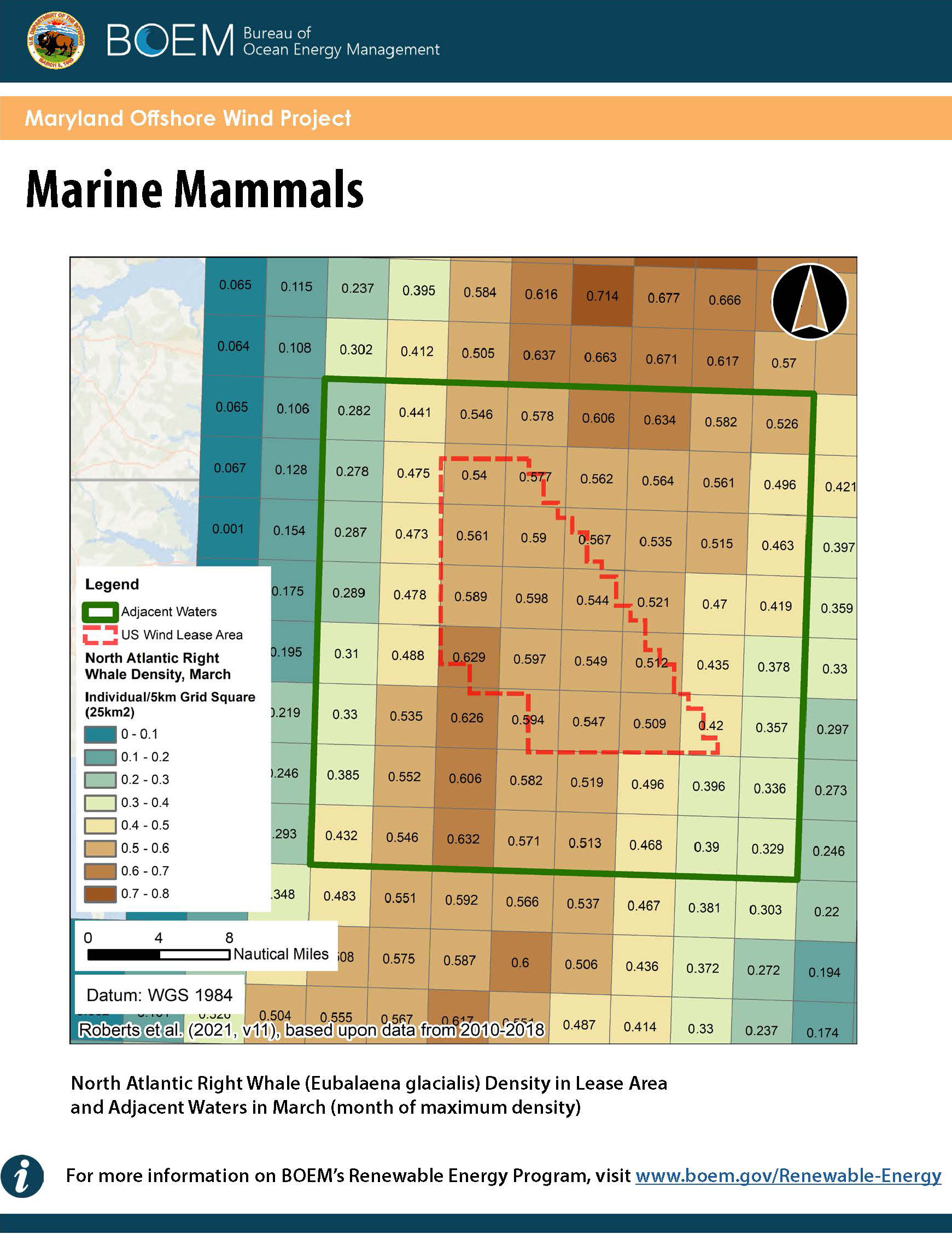 Marine Mammals