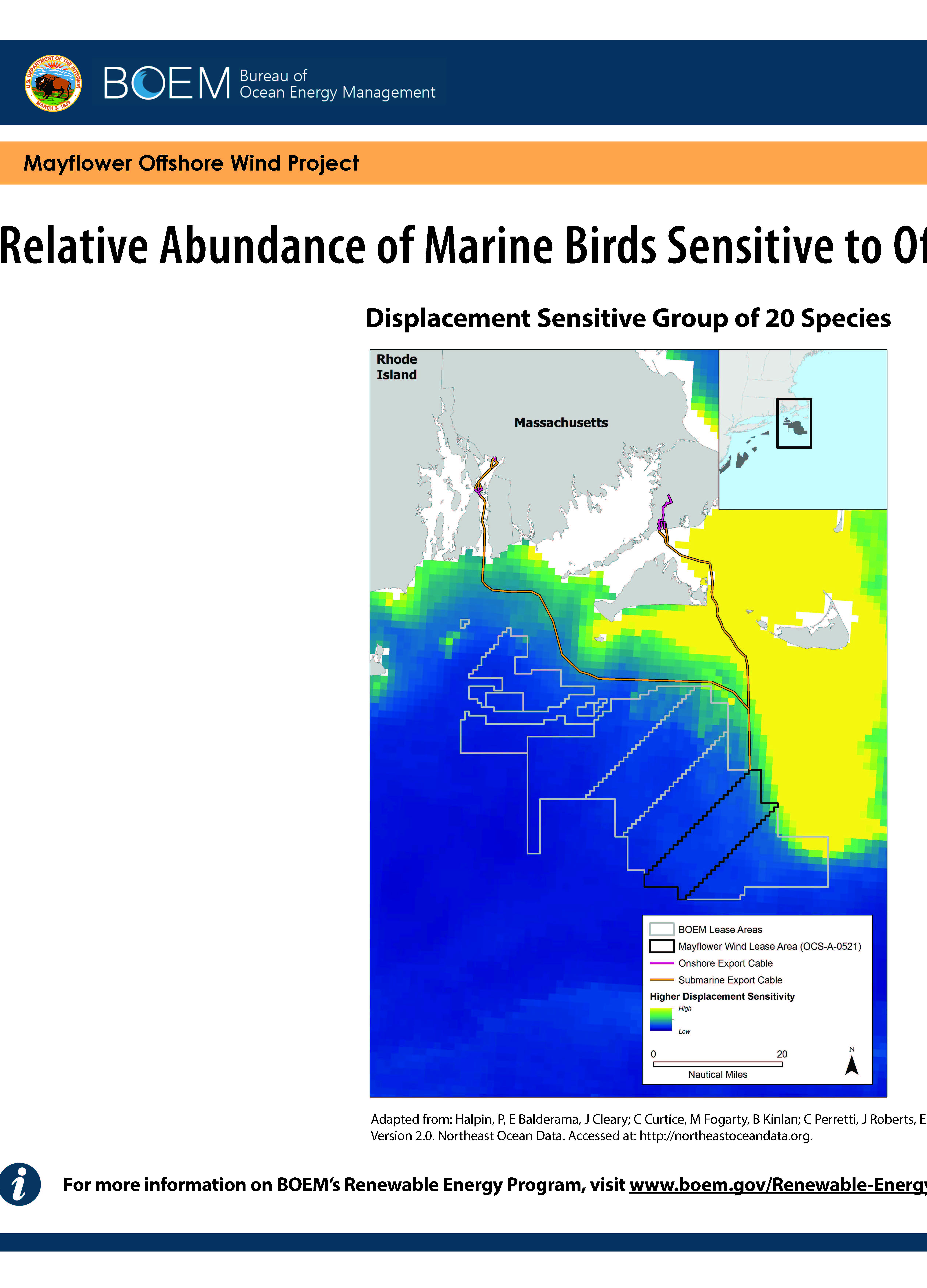 Mayflower Avian Abundance