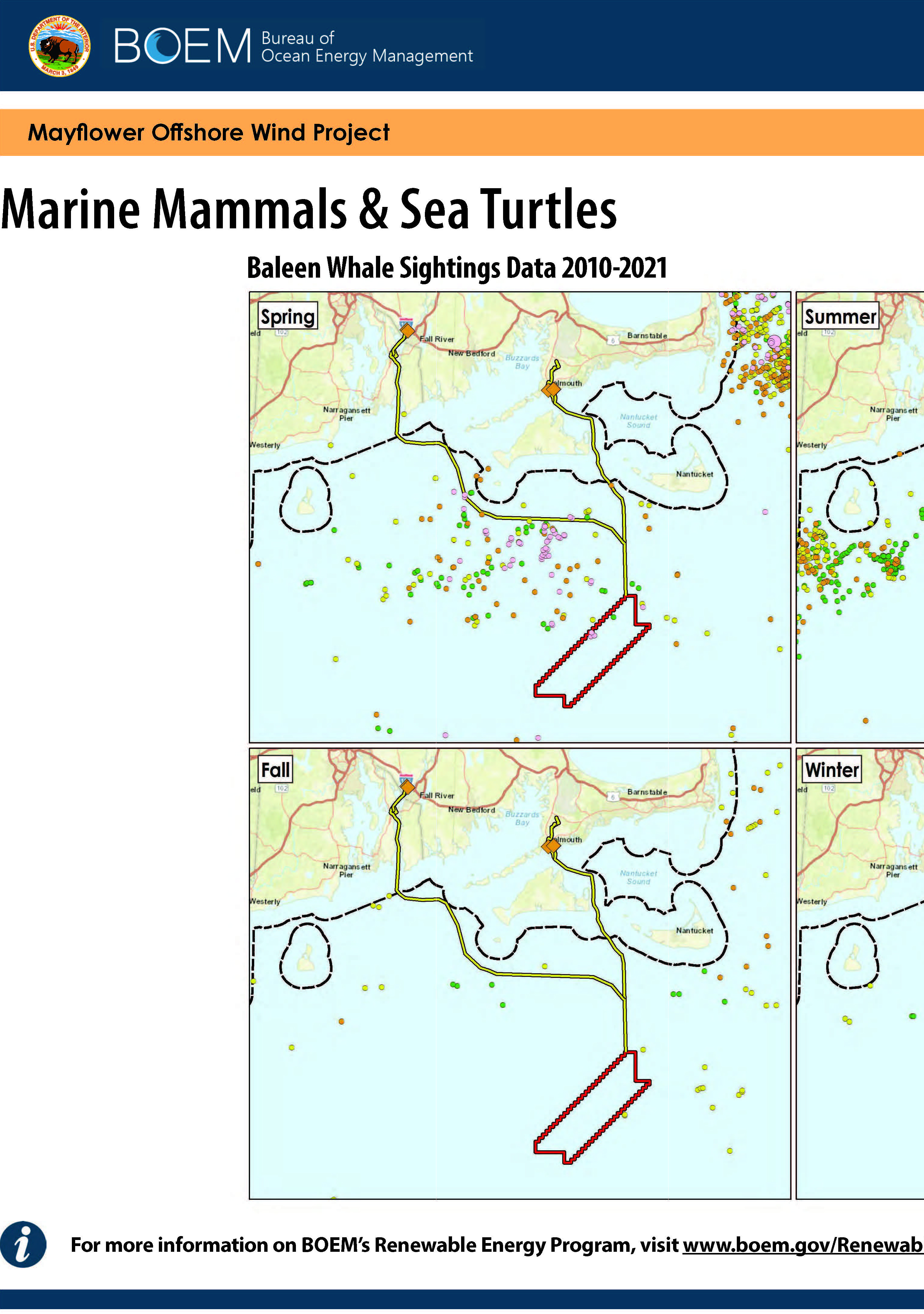 Marine Mammals & Sea Turtles