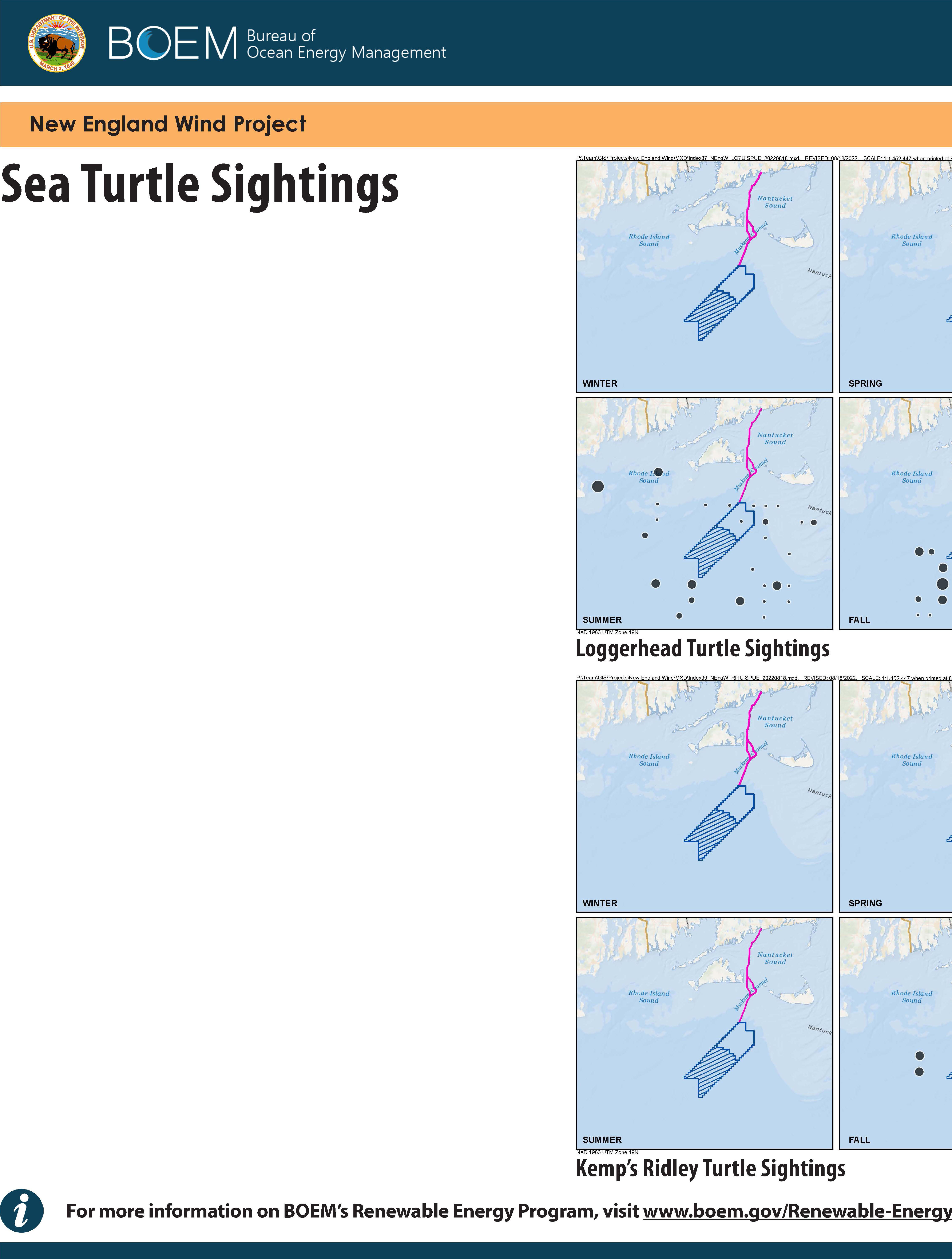 Sea Turtle Sightings