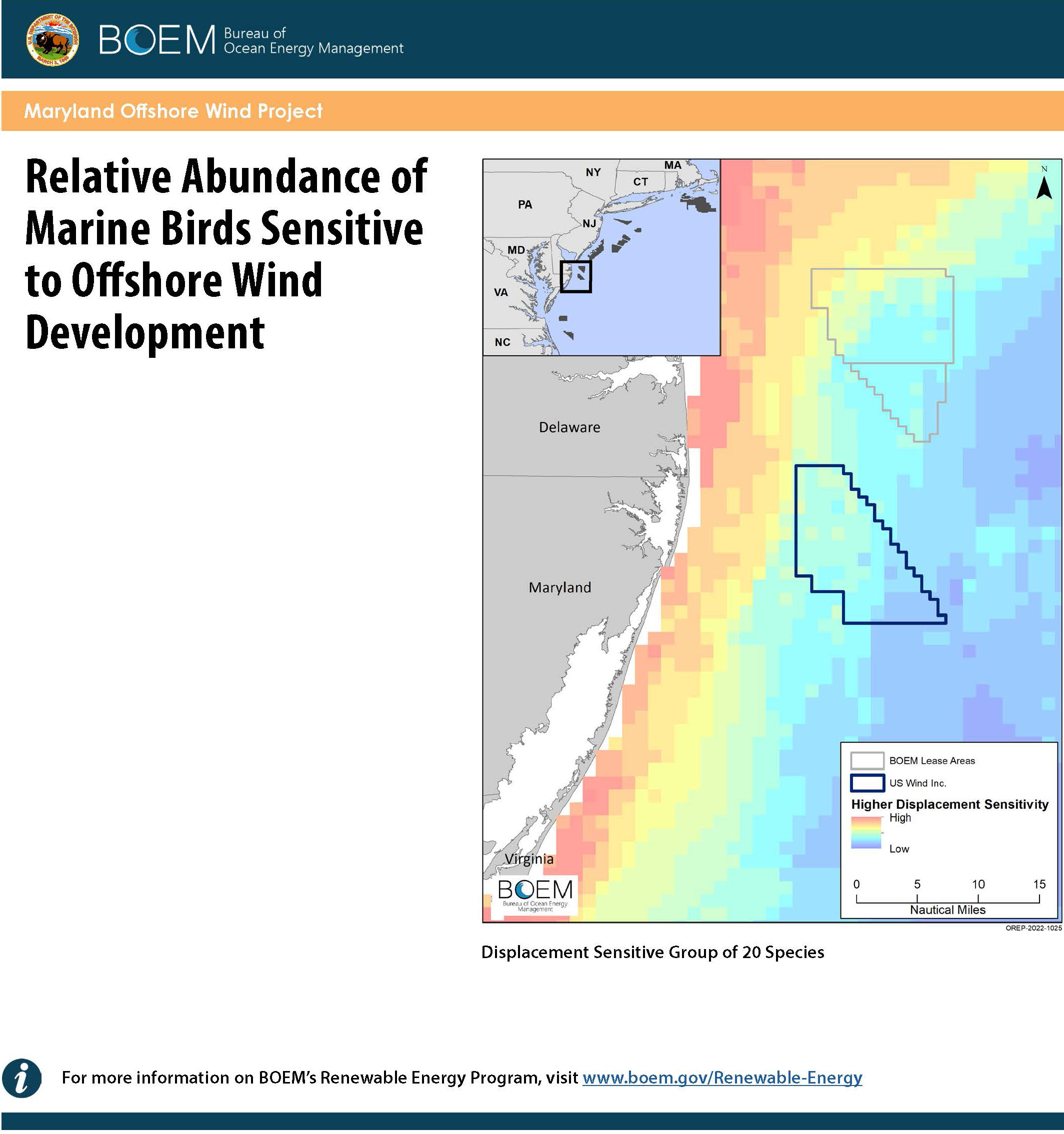 Marine Birds Sensitive