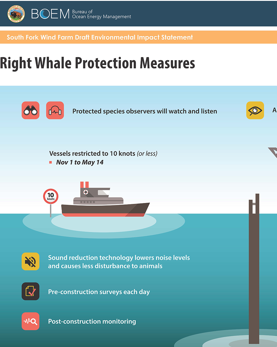 Right Whale Protection Measures Poster