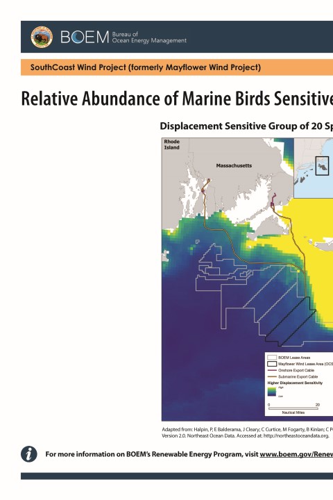 Avian Abundance