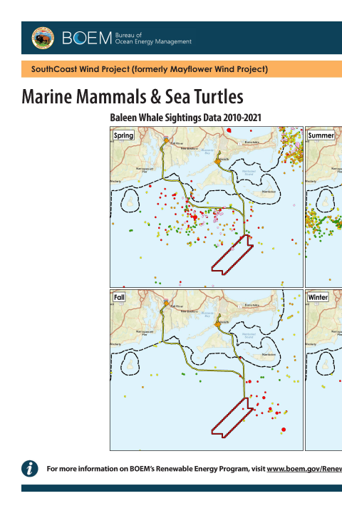 Marine Mammals & Sea Turtles