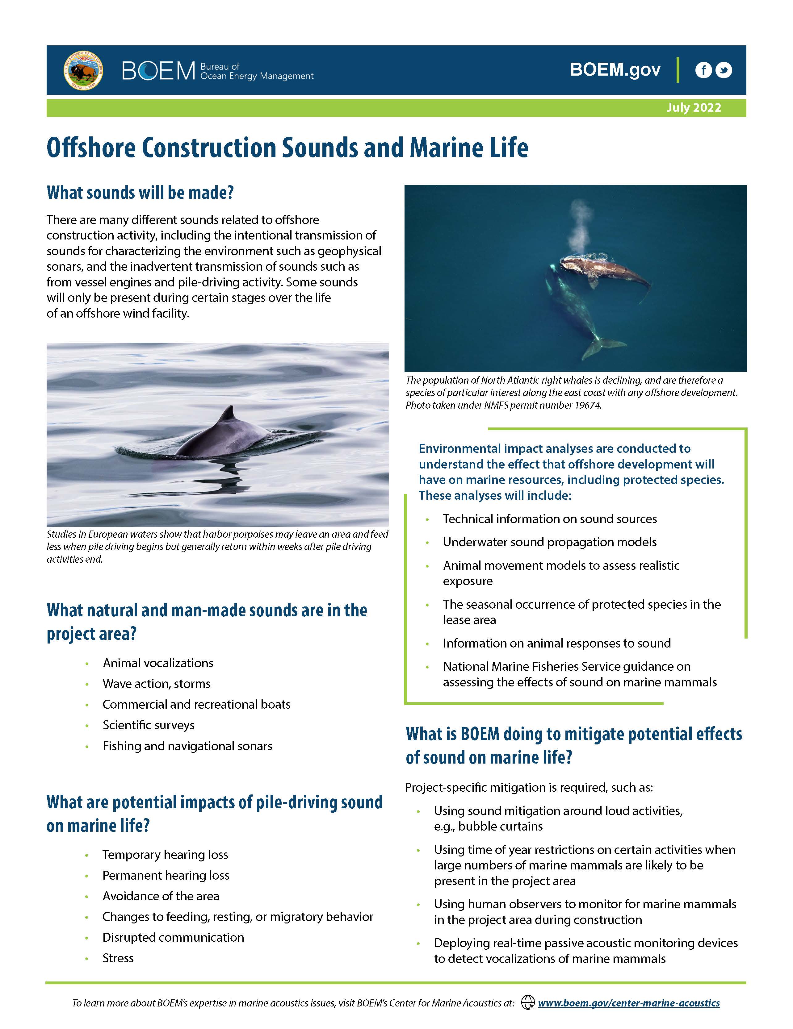 Underwater Sound on Marine Life Factsheet