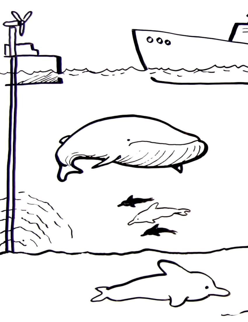 Acoustics Whiteboard Animation