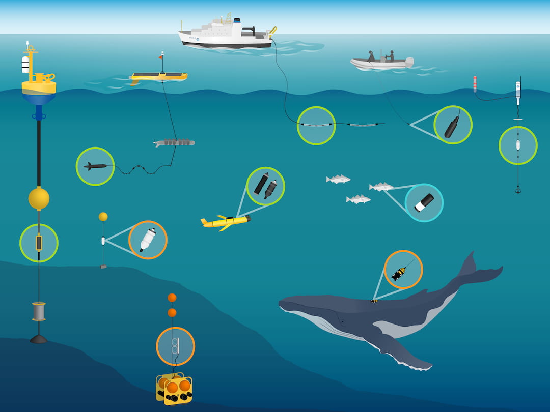 Drawing of the ocean water column highlighting ships, buoys, submarine devices, and animal tracking devices