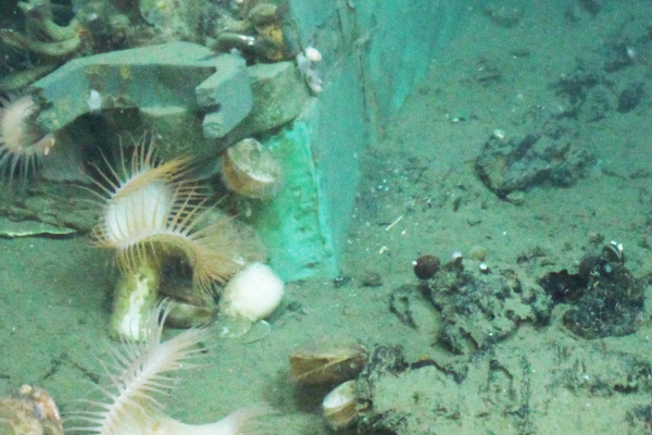 underwater shipwreck