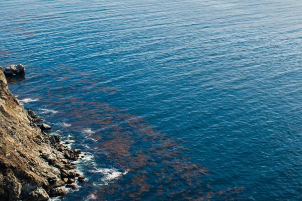 View of cliffs and sea, Big Sur, California, USA
