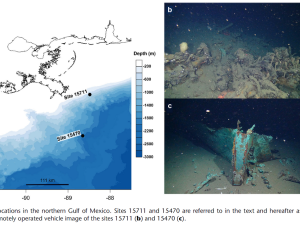 Deep-sea wooden shipwrecks photos