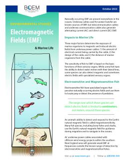 EMF Impacts on Marine Life poster