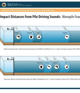 Pile Driving Impacts poster