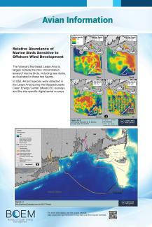 09_Poster_Avian Information