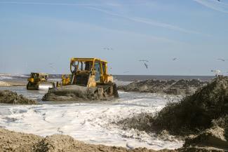 Beach Renourishment