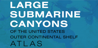 Large Submarine Canyons Header