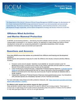 Offshore Wind Activities and Marine Mammal Protection