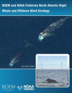Final Atlantic Right Whale Strategy