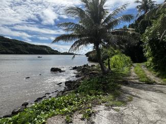 Scenic image from Guam of palm trees and vegetation by the water with a dirt road leading off into the distance. Lush mountains are in the background under a blue sky with white clouds.  