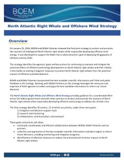 NARW OSW Strategy