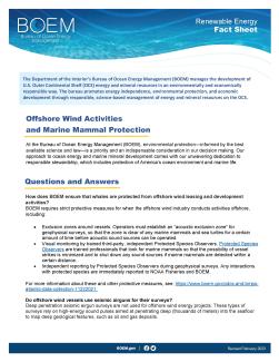 Offshore Wind Activities and Marine Mammal Protection Fact Sheet