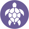 Icon of a sea turtle