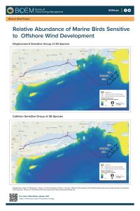 BW_Marine_Bird_Surveys