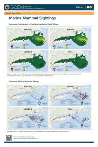 BW_Marine_Mammal_Surveys