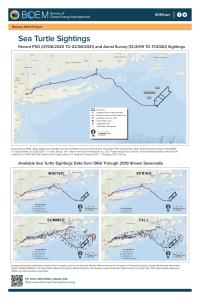 BW_Sea_Turtle_Sightings