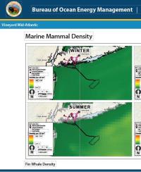 Marine Mammal Densities 