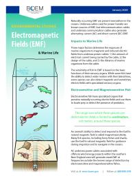 Electromagnetic Fields Marine Life cover page