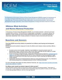 Offshore Wind Activities and Marine Mammal Protection