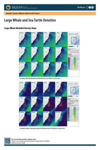 Atlantic Shores South Whale and Turtle Density